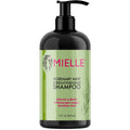 Shampoing fortifiant Rosemary Mint de Mielle Organics  355ml