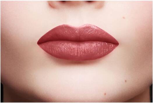 LOréal Color Riche Satin Lipstick  110-Made In Paris